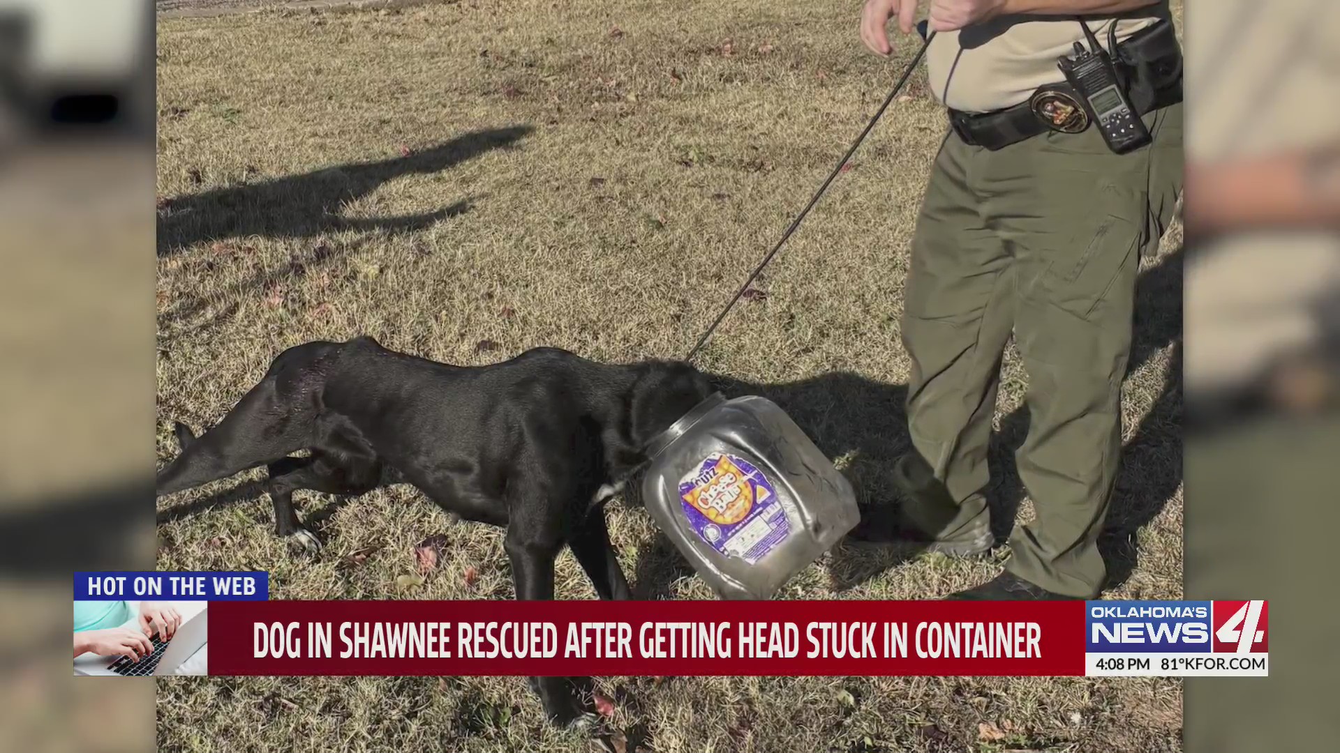 Dog in Shawnee rescued after getting head stuck in container