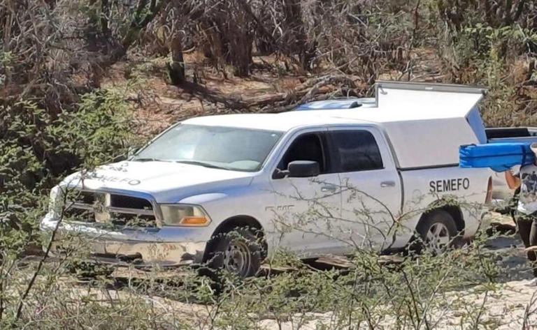 Autoridades investigan el hallazgo de un hombre asesinado a balazos en el municipio de Mulegé, Baja California Sur.  Foto: Especial.