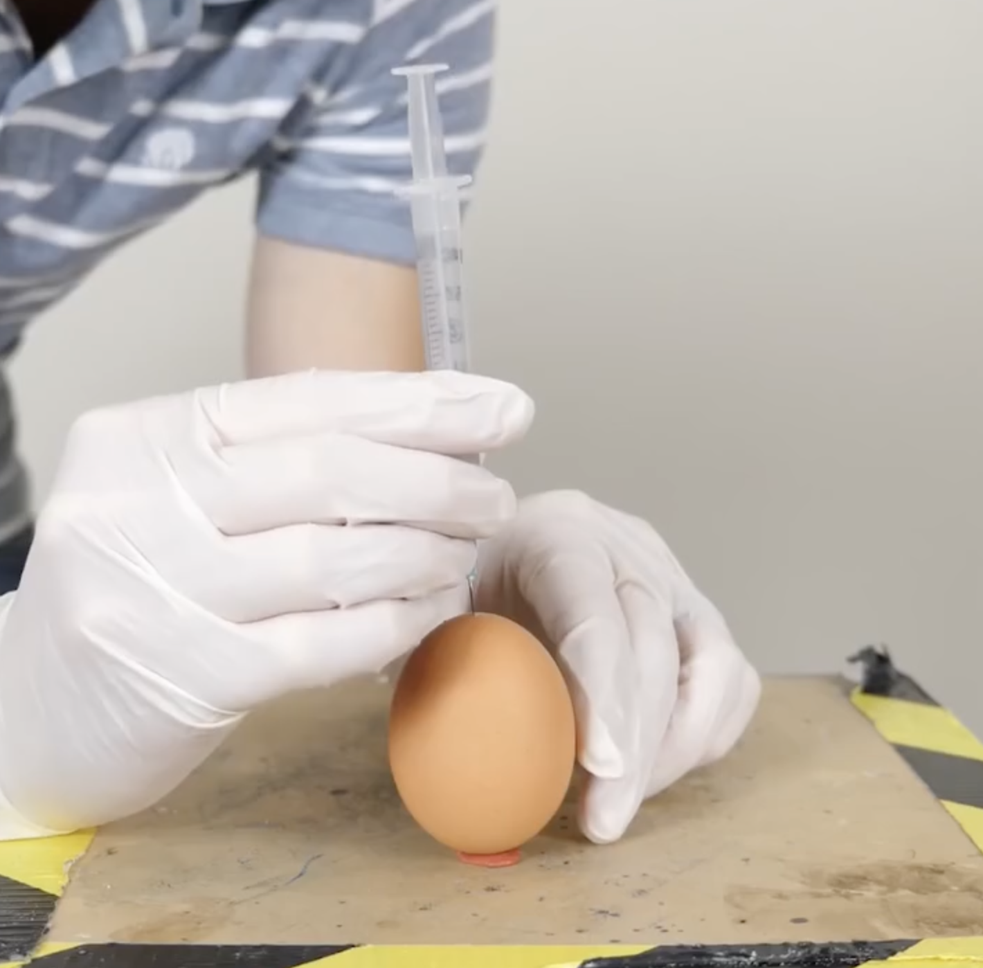 Creating an homunculus egg!