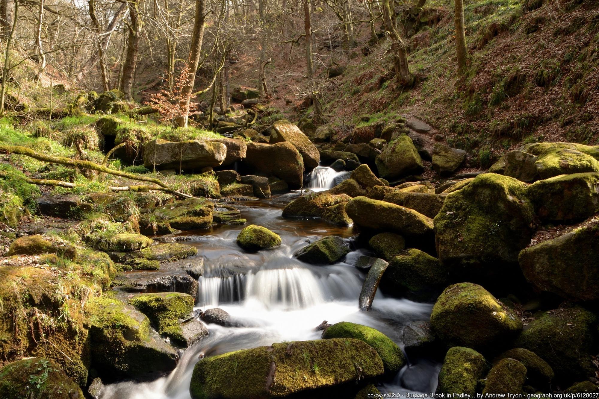 9 refreshing winter walks to enjoy on crisp mornings across Derbyshire ...