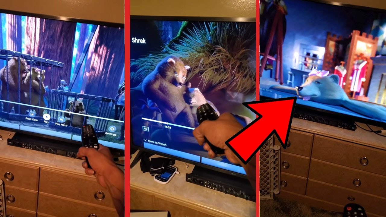 Dark Secret Hidden in Shrek – It’s Mind-Blowing!