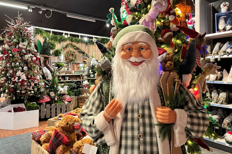 i-spent-10-on-the-most-adorable-christmas-decorations-at-garden-centre