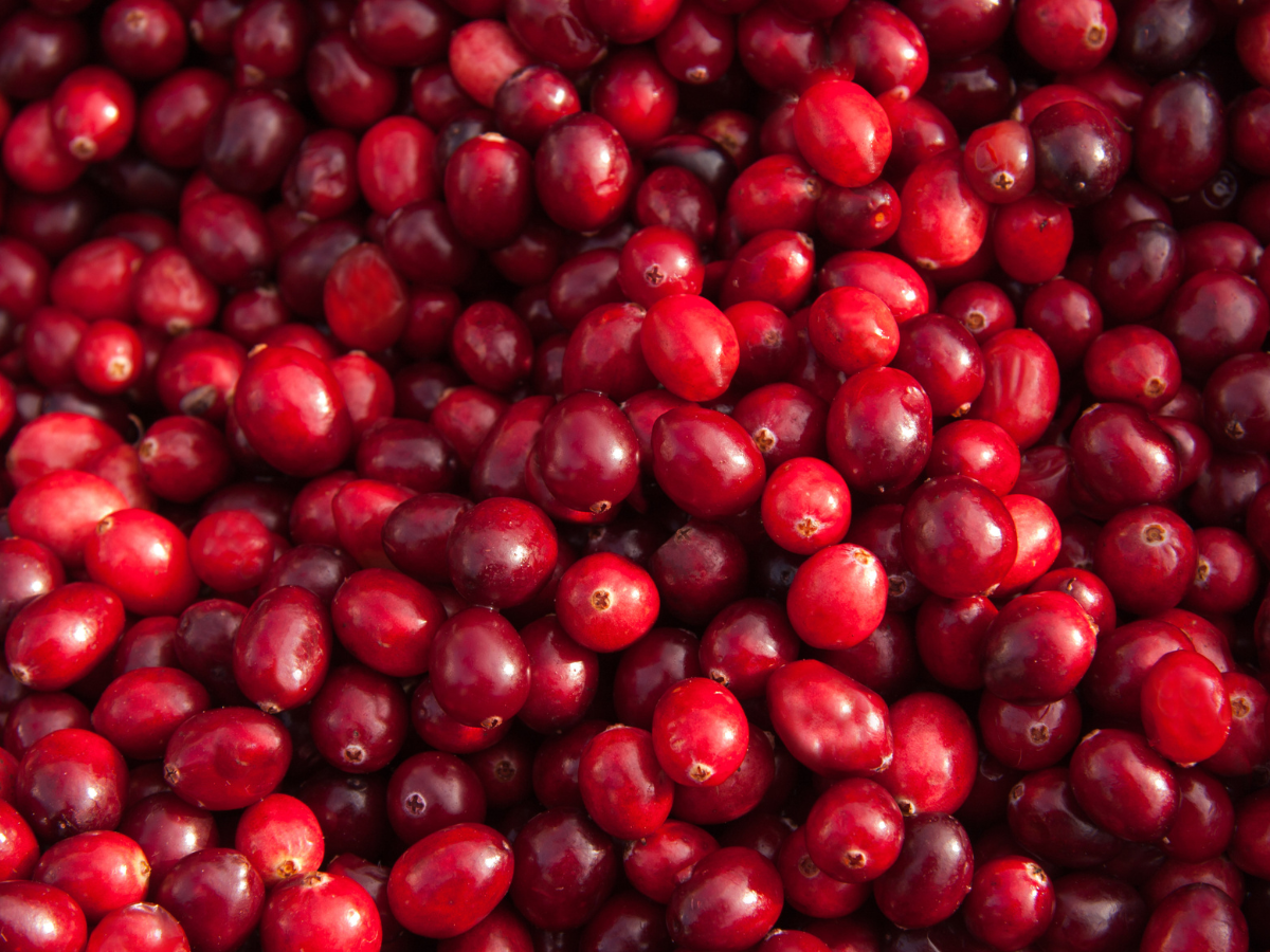 Curated visual reference: Fresh Look at 7 Natural Kidney Healing Foods You Should Eat Daily