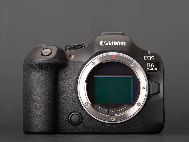 How the Canon EOS R6 III stacks up to its peers