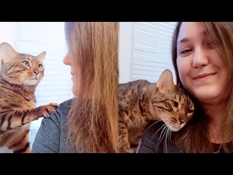 How an "aggressively" affectionate cat shows love to its owner