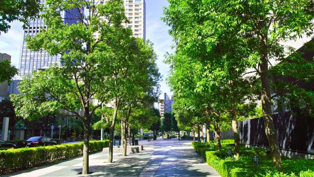 Investigadores realizan un descubrimiento revolucionario que podría transformar los rascacielos del futuro: «Estamos explorando activamente las oportunidades».