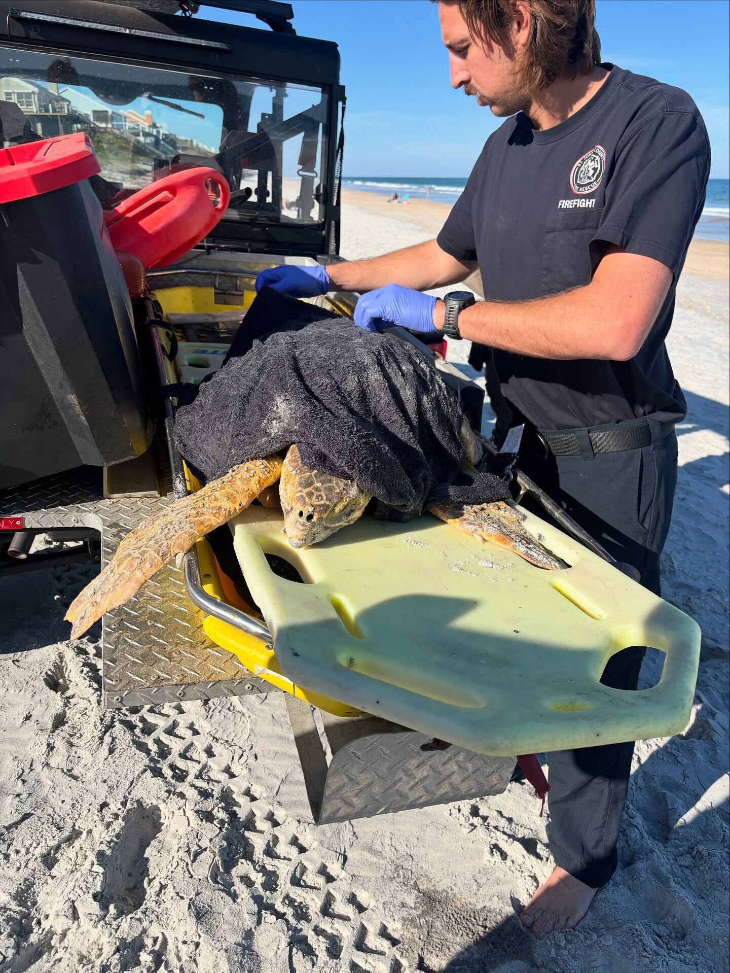 St. Johns County Fire Rescue rescues distressed sea turtle in Ponte Vedra