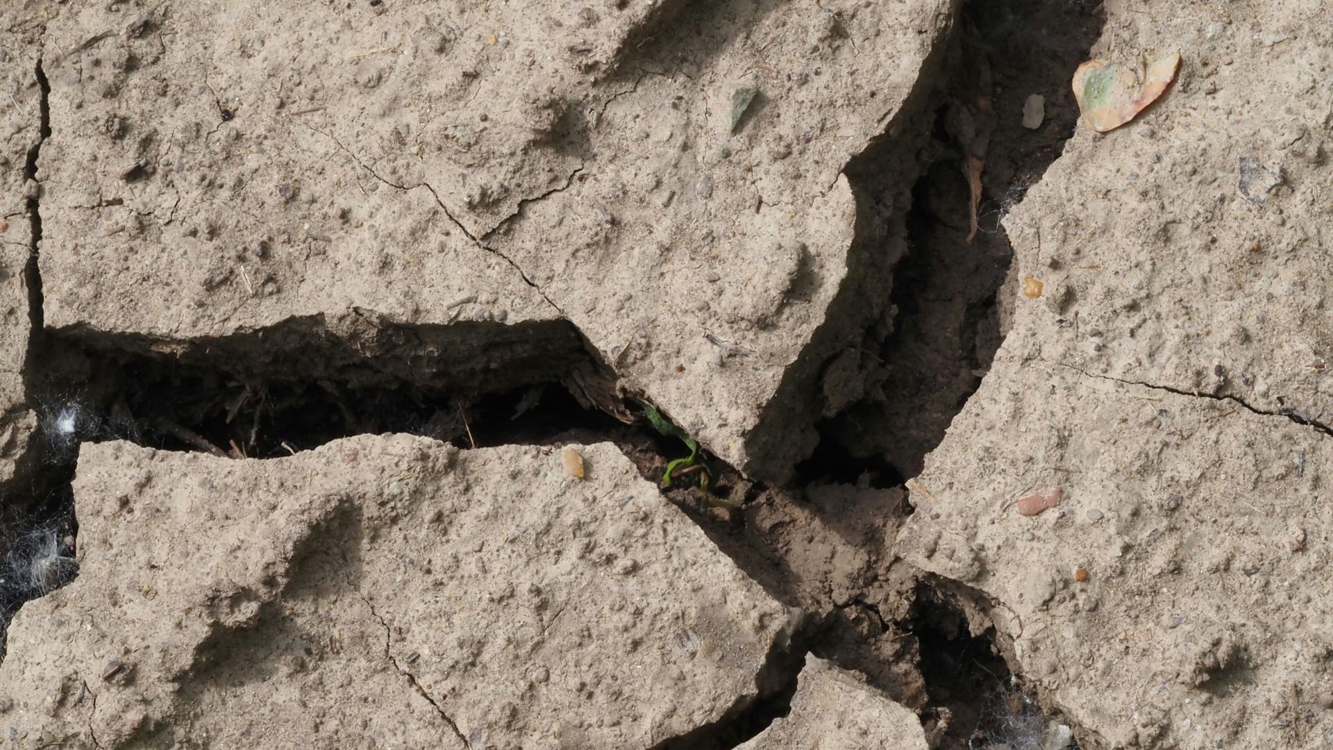 The Earth is Tearing Apart Beneath the Pacific Northwest
