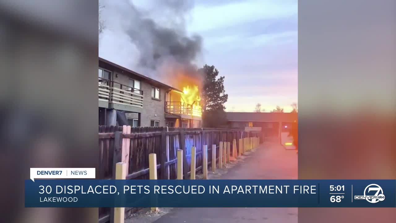 30 people displaced, pets rescued in Lakewood apartment fire Saturday