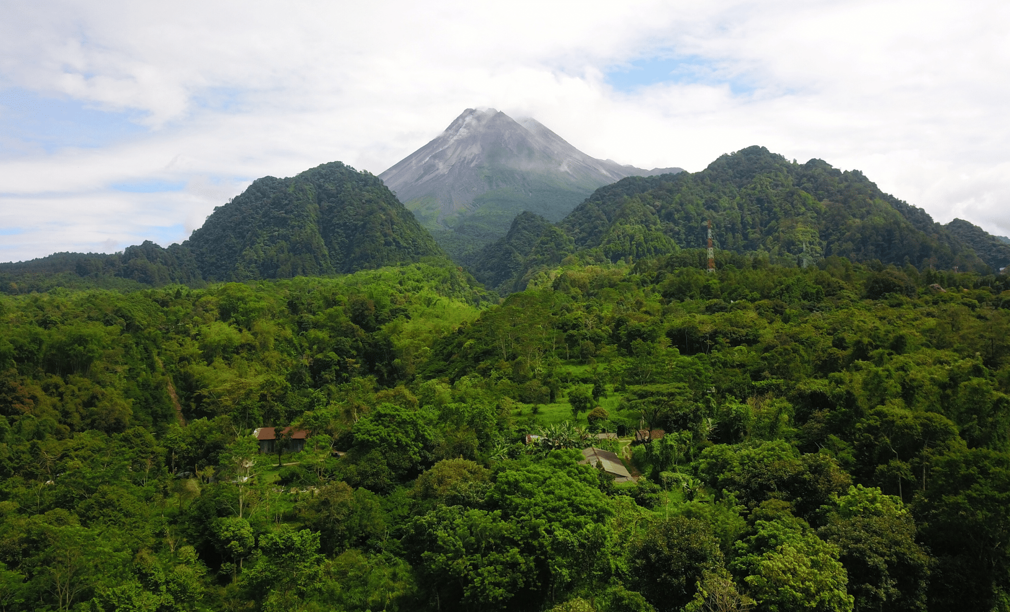 New DNA Evidence Suggests Extinct Apex Predator May Still Roam Java’s ...