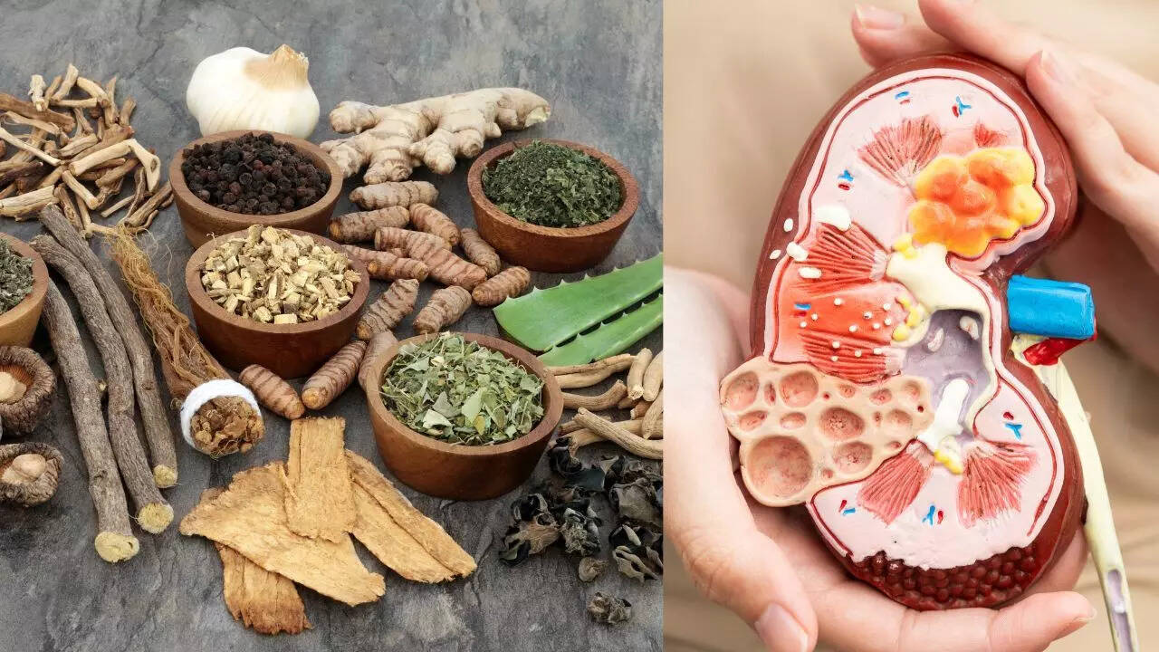 7 kidney-friendly herbs and spices that make your meals healthier and ...