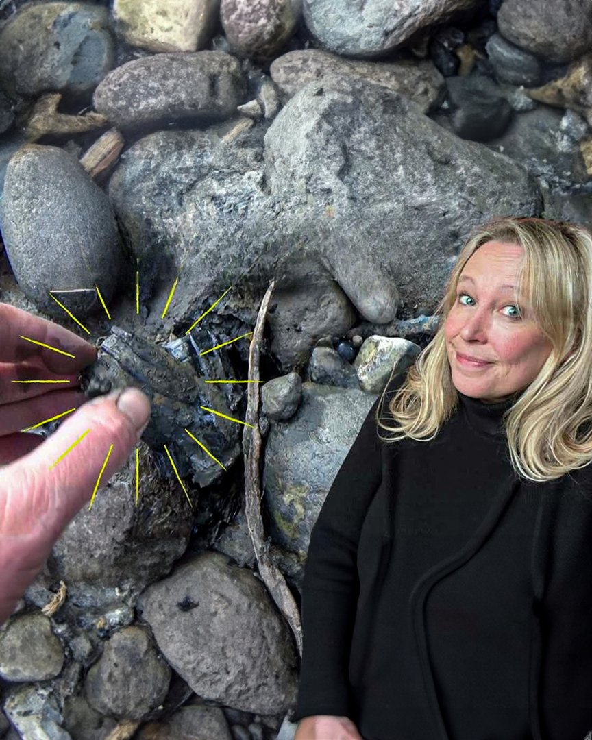 Everything You Didn't Know About Barnacles....Until Now!!