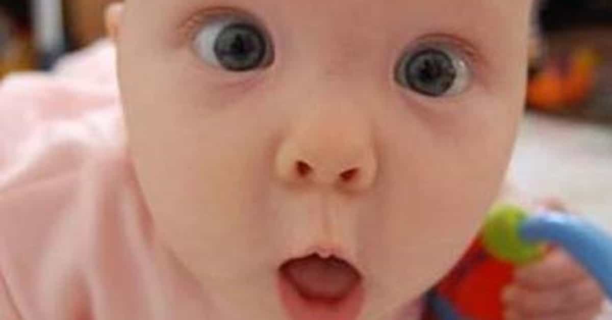 WHAT DOES HORRIBLE MEAN intelligence overview