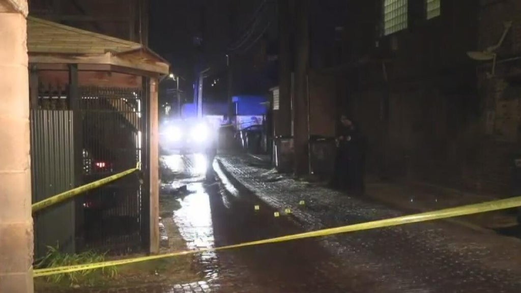 Man found dead from gunshot wounds in Wicker Park alley