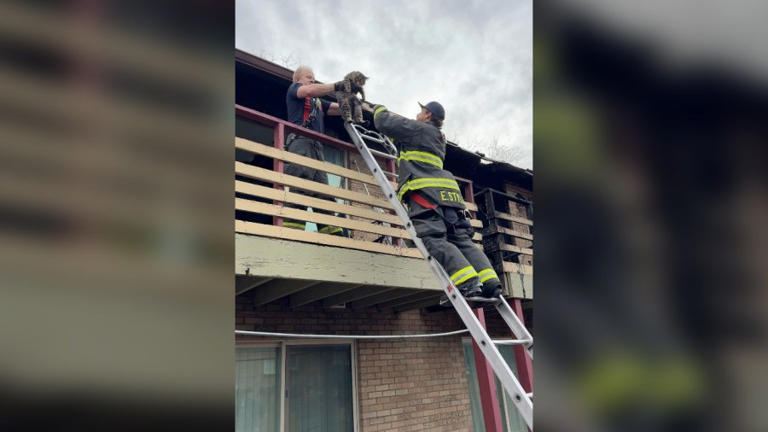 Lakewood apartment fire leaves 30 people displaced