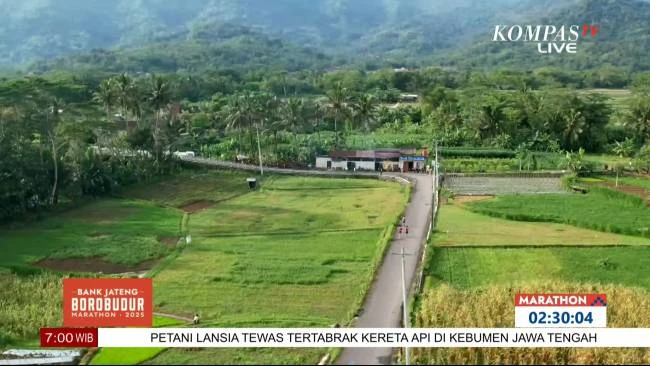 Dampak Ekonomi Borobudur Marathon 2025 Capai Rp72 Miliar, Menpora Dukung Kompetisi Berkualitas