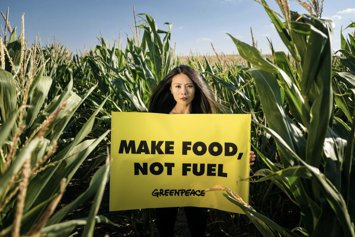 Greenpeace dan CAN International Menolak Pledge Bioenergi 4x