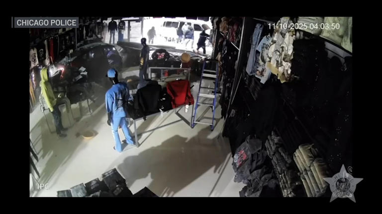 Police release surveillance video of smash-and-grab, ask for public's help