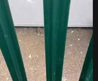 Rats as ‘big as cats’ and leaking sewage filmed at ex-RAF base housing