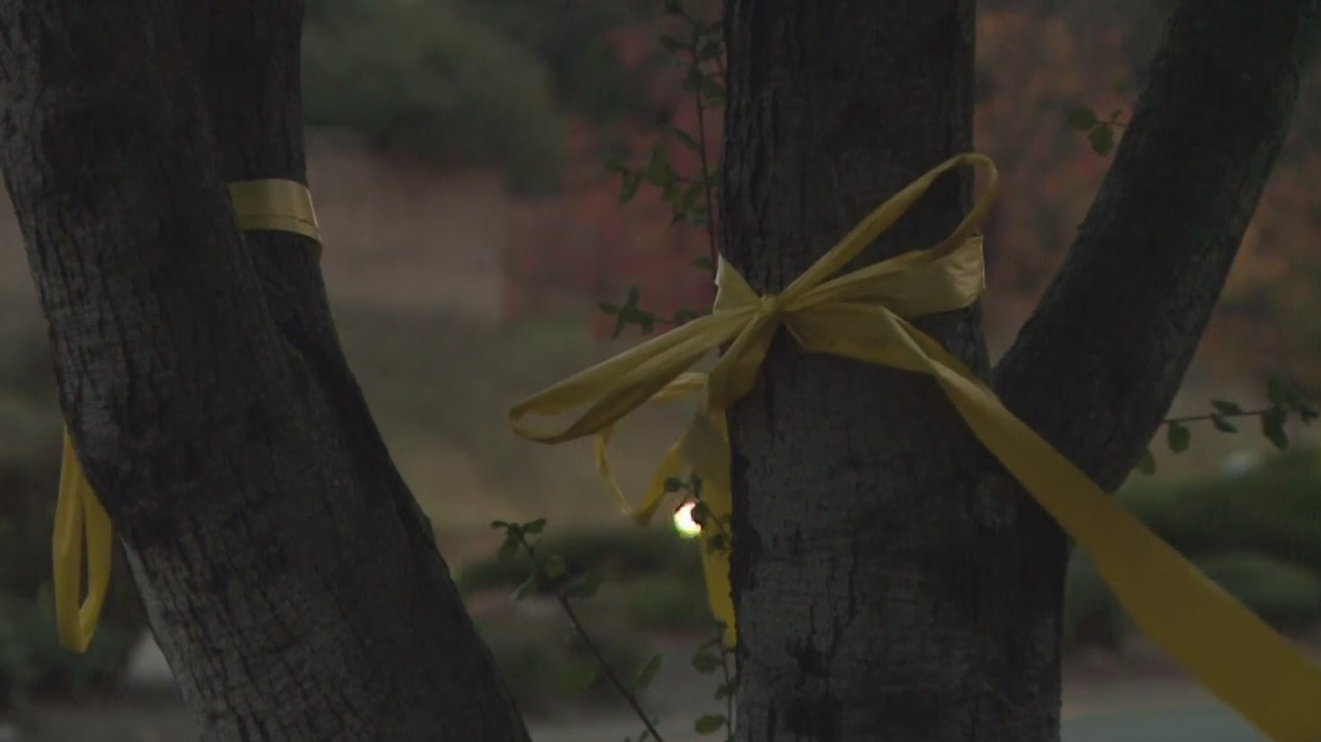 The meaning behind the yellow ribbons on trees in Granite Bay