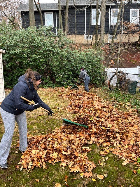 My neighbors' leaves fall on my lawn, am I responsible for cleaning ...