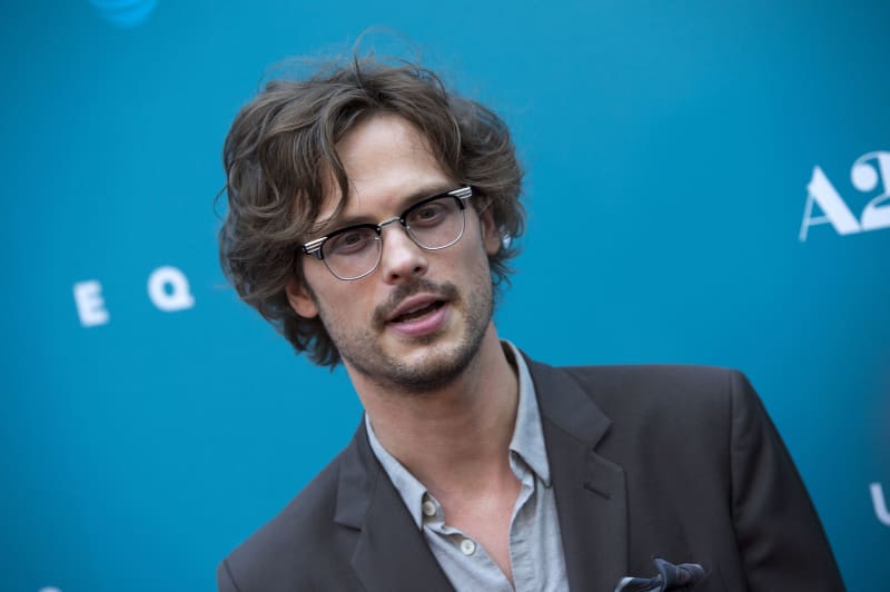 Matthew Gray Gubler's Art Career No One Knew About