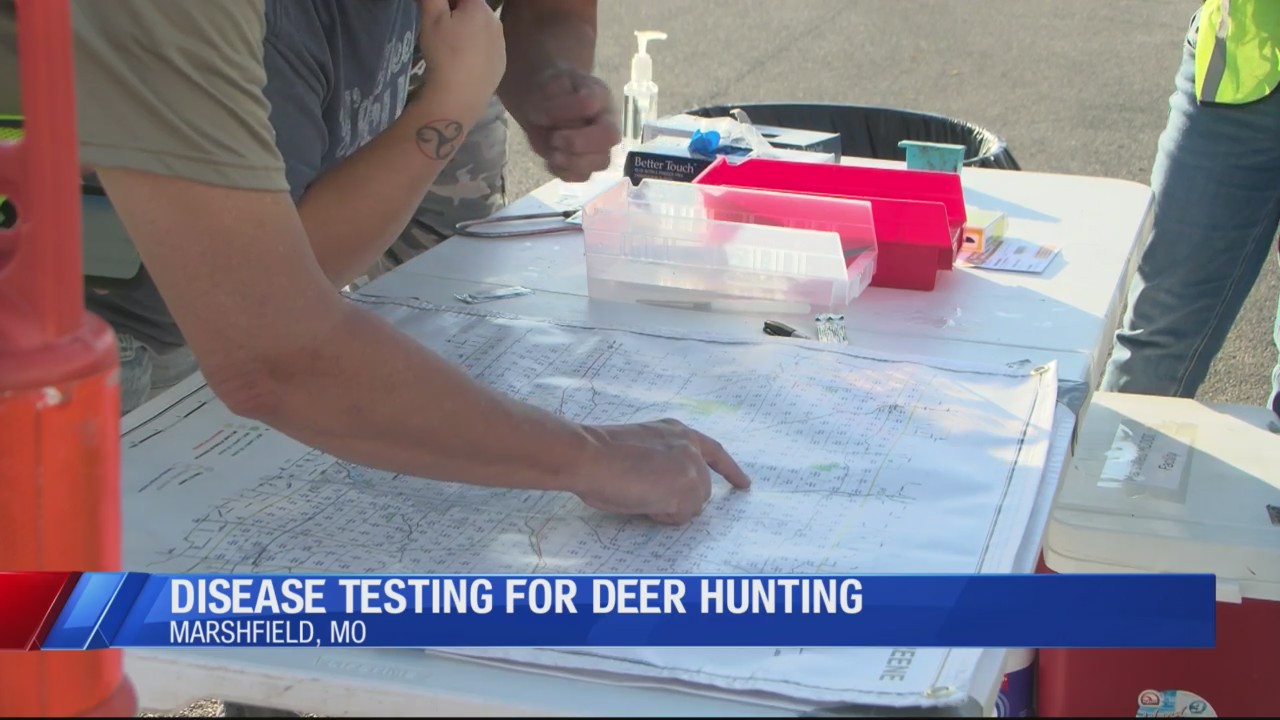 MDC mandating disease testing for deer at start of rifle season