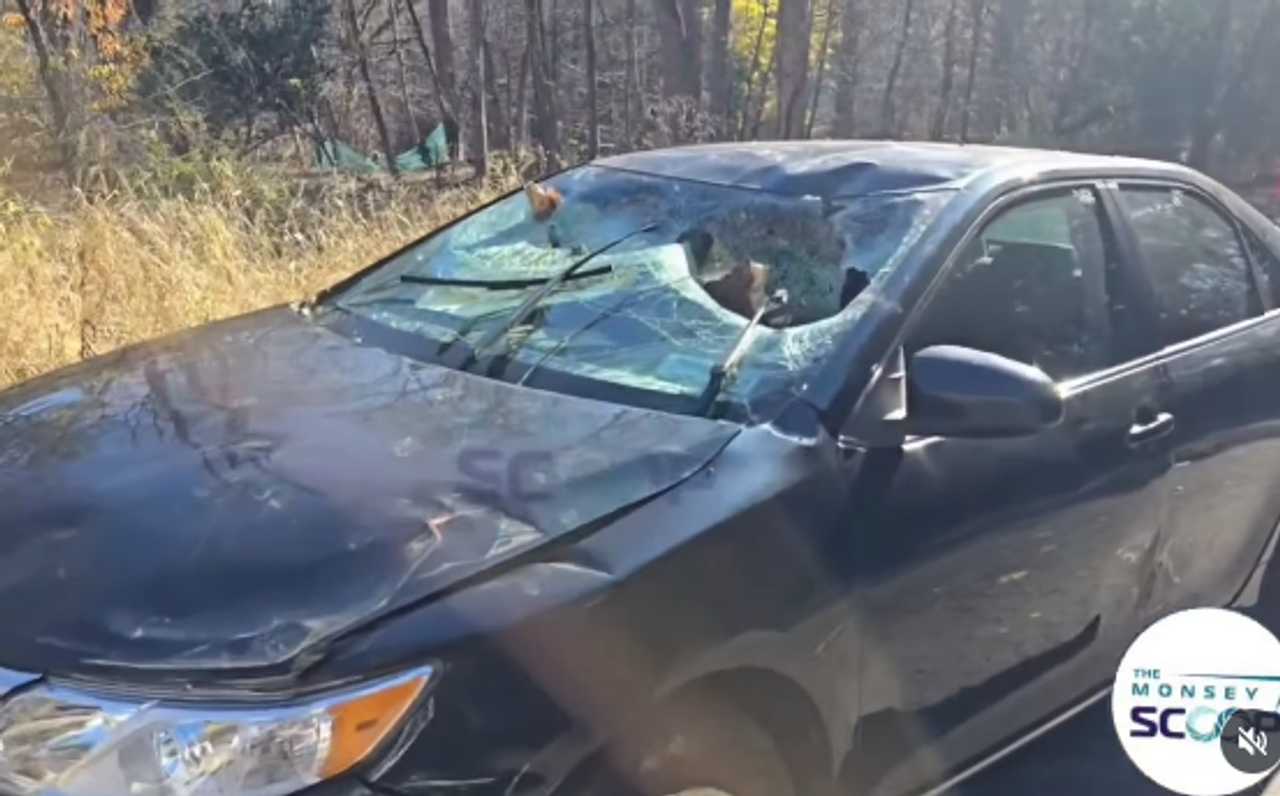 Father of 3 killed when tree falls onto car in Rockland County: Report