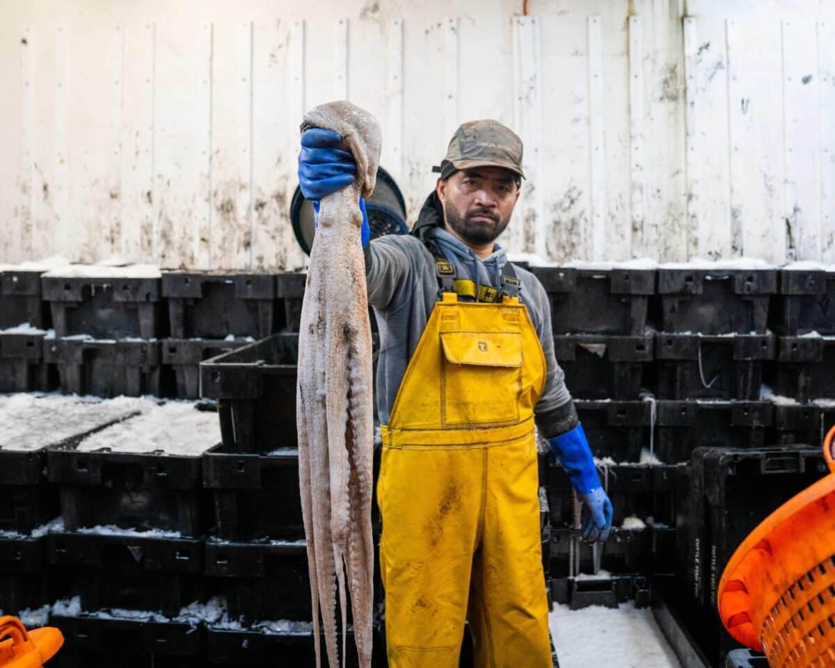 British Shores Are Facing an Unseen Invasion—And These Creatures Are ...