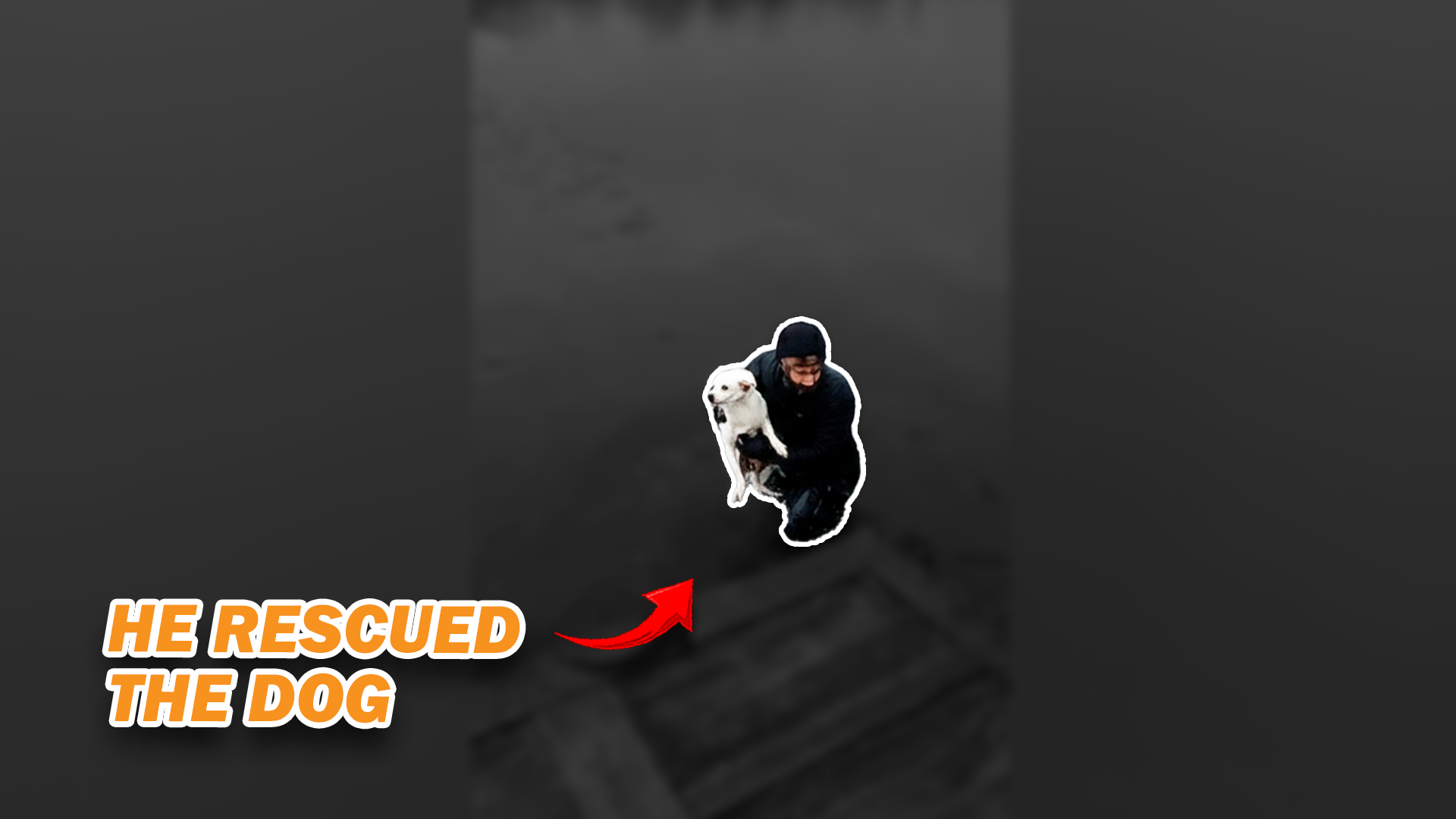 Animal Rescue Moment
