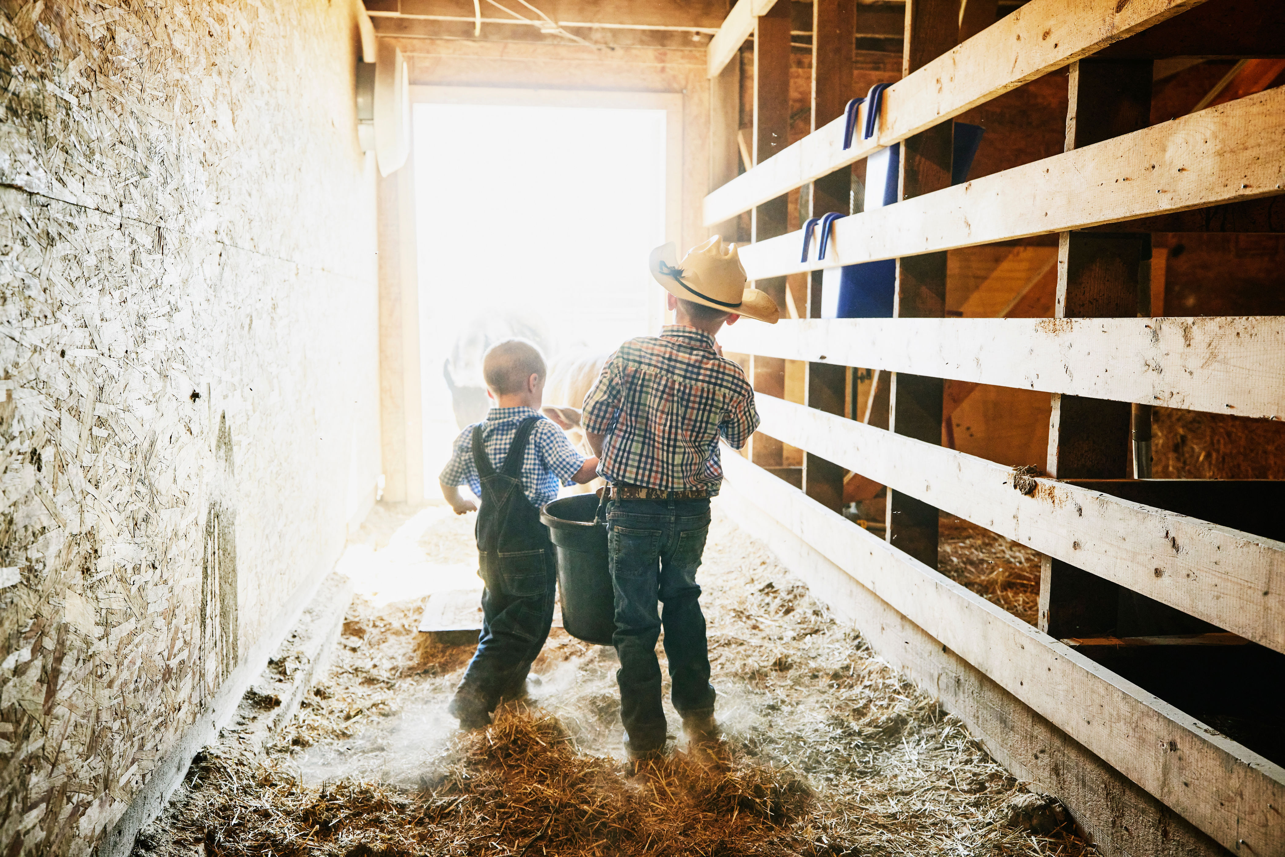 Two children wearing cowboy hats carry a bucket through a barn with hay on the ground, illuminated by bright sunlight coming from an open door