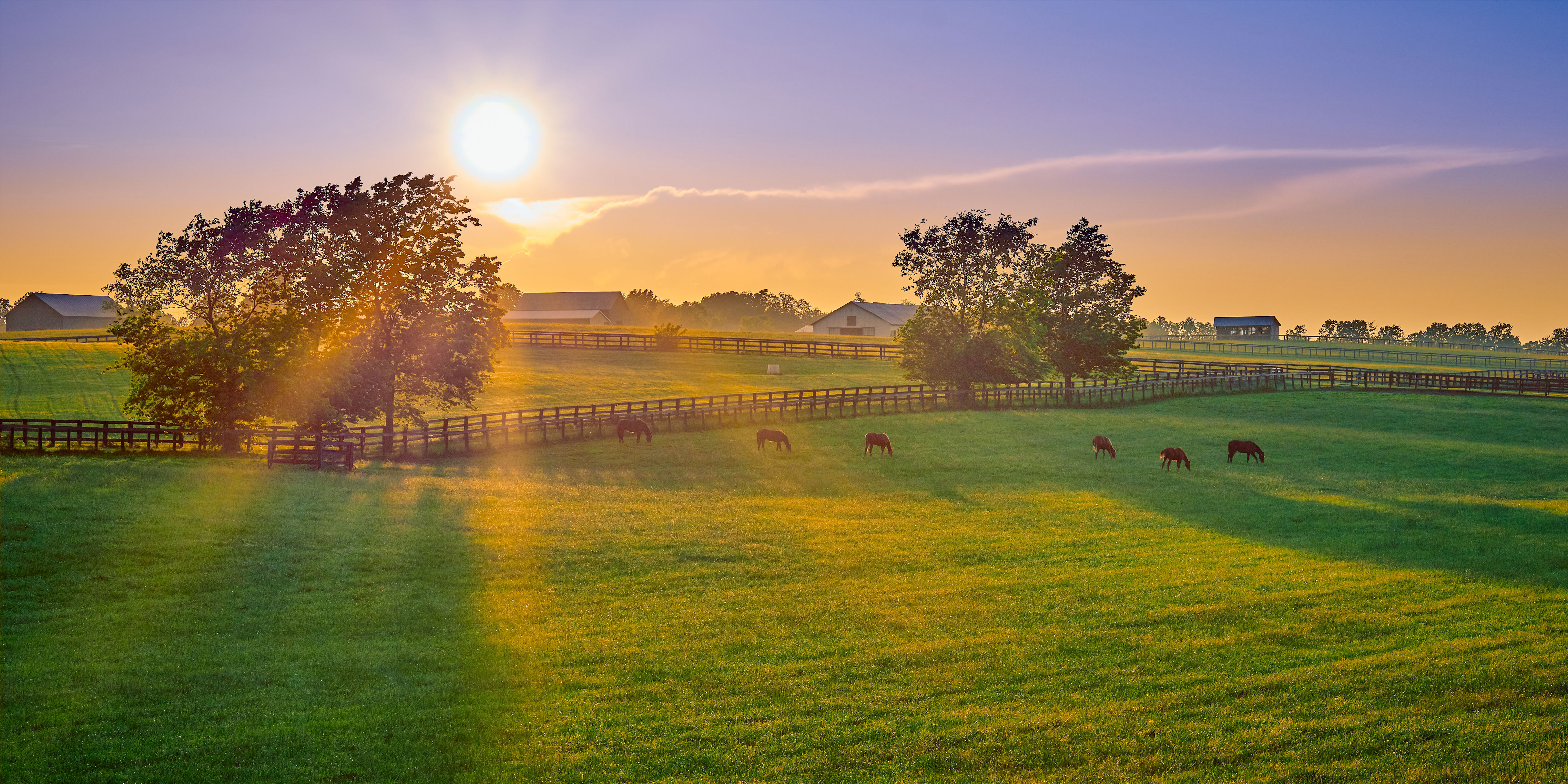 Sunset over a tranquil, pastoral scene with grazing horses, fenced fields, and distant farm buildings