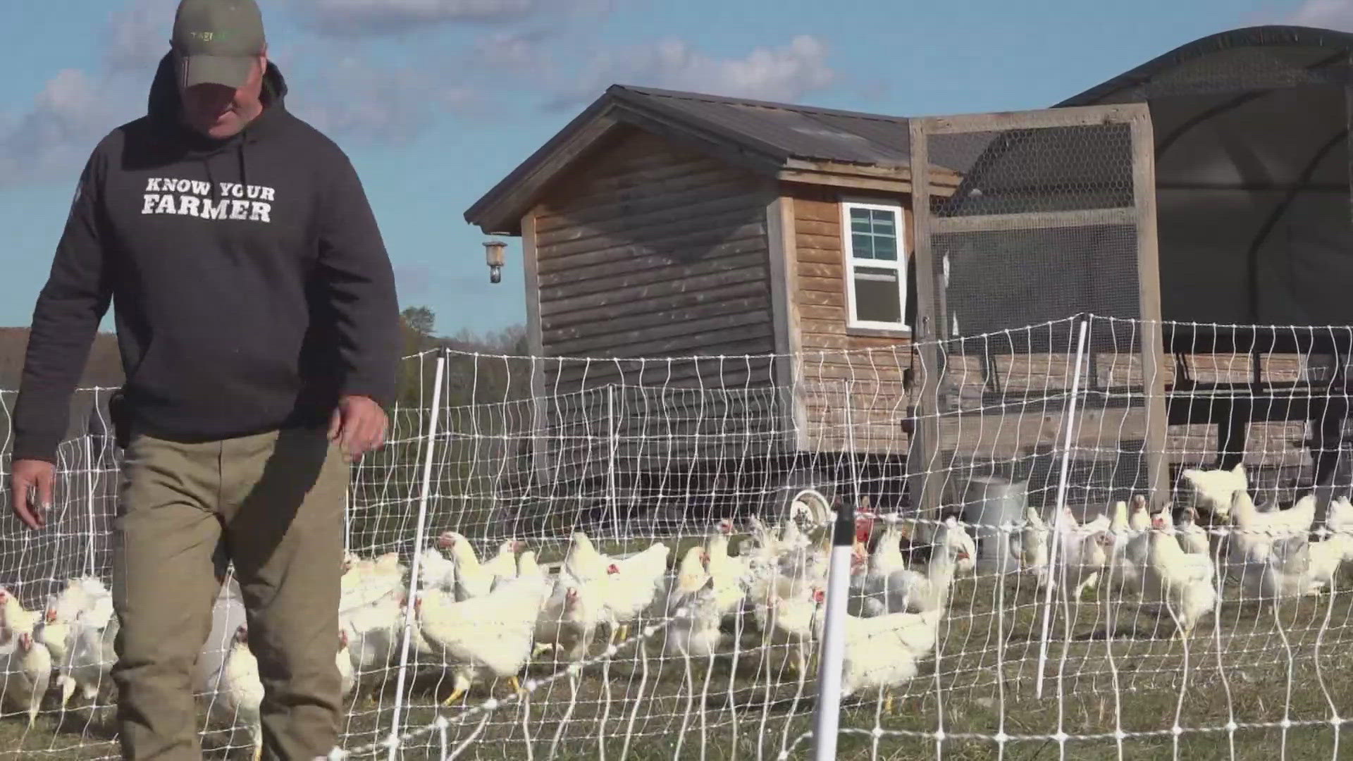 Tennessee Department of Agriculture launches new online hub connecting ...