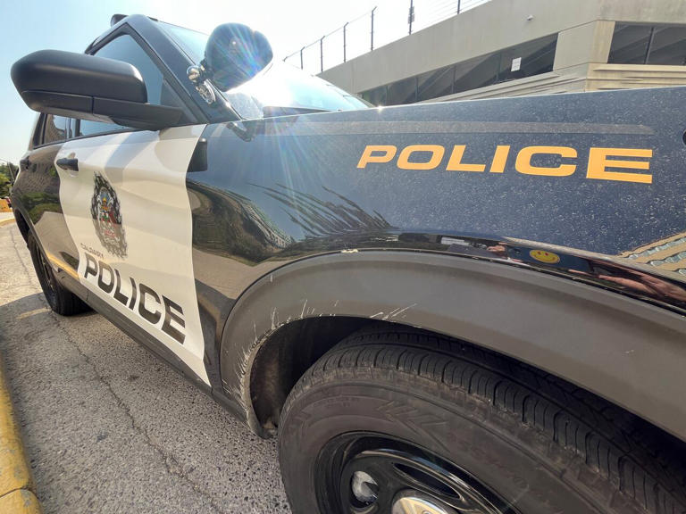 Pedestrian struck by vehicle on Sunday dies from injuries