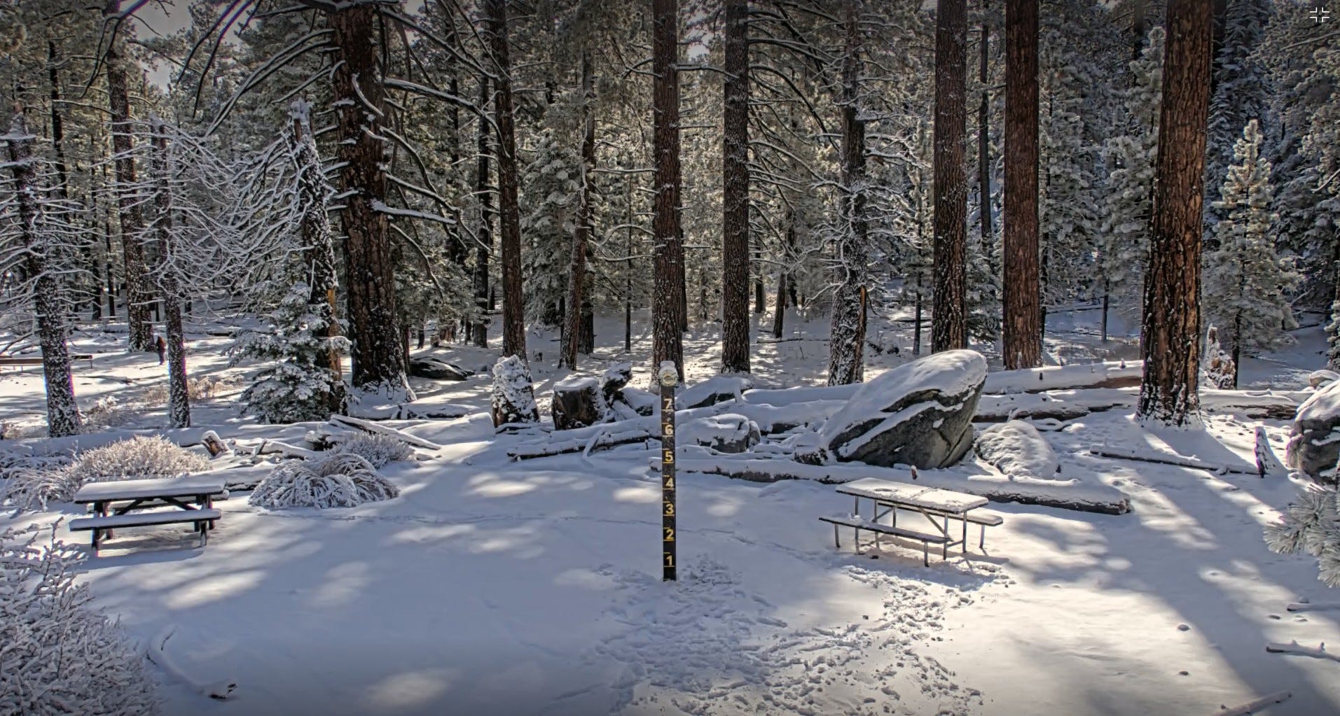 Palm Springs Aerial Tramway snow guessing contest comes to end with ...