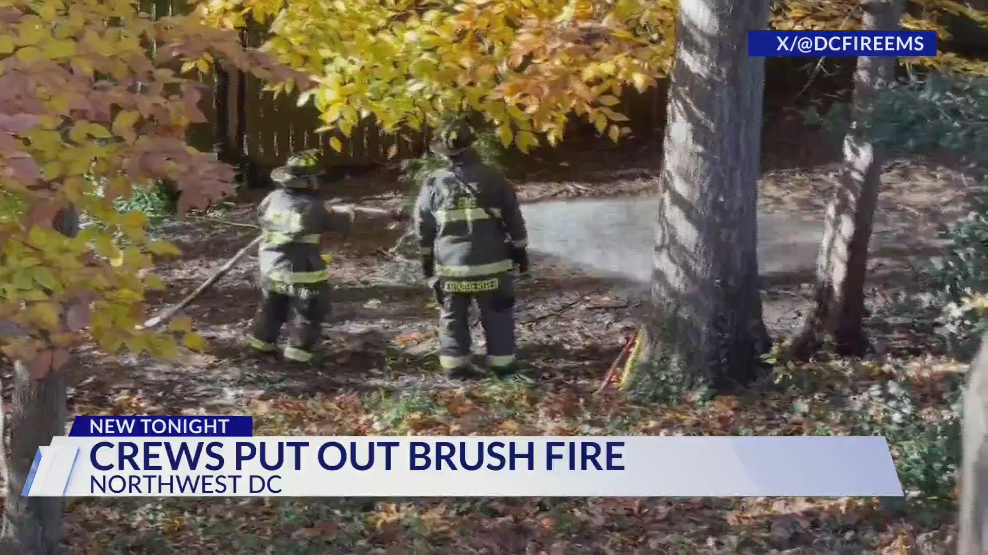 Firefighters battle brush fire in Northwest DC