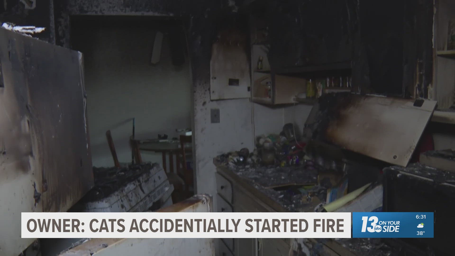 Grand Rapids woman speaks out after apartment fire leaves 3 cats dead