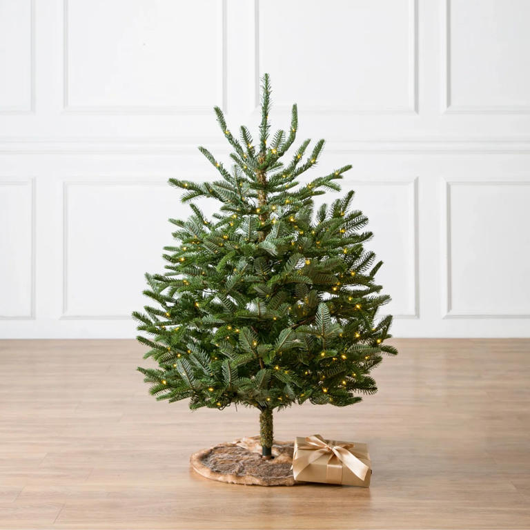 Pre-lit tabletop tree with circular wooden base