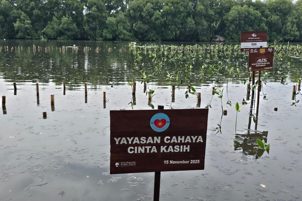 Aksi Peduli Bumi, Komunitas SOUL Jabodetabek Tanam Mangrove di PIK