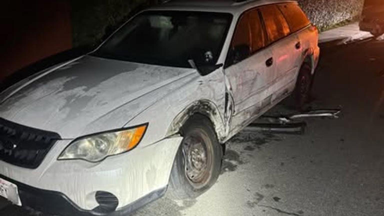 Santa Cruz driver arrested for DUI after hit-and-run crash with parked ...