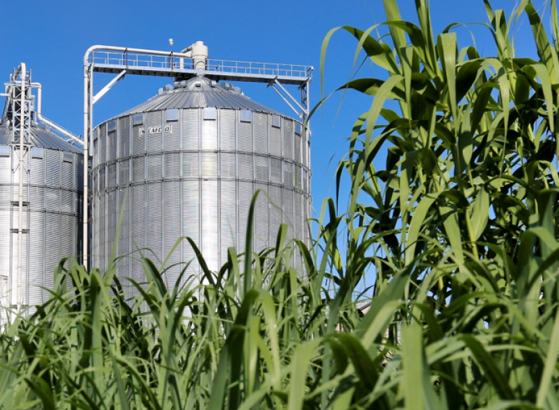 Group pushes for stronger biofuel law to safeguard PH energy security