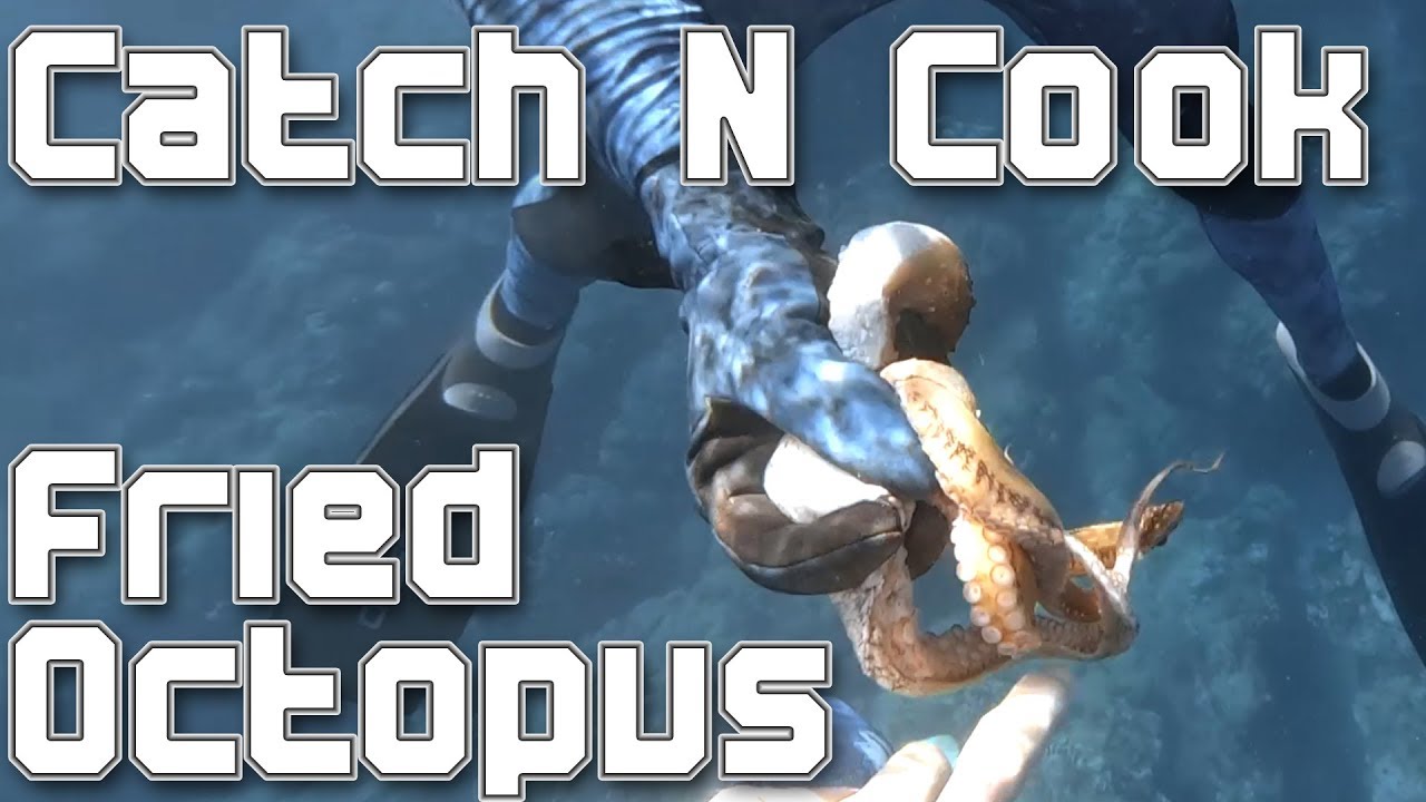 Catch and Cook: Andre’s First Octopus Catch