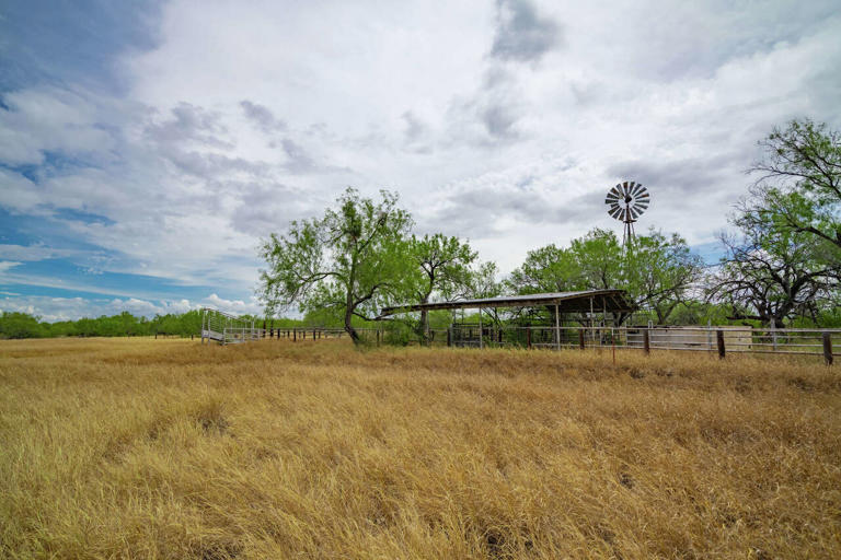 Historic 7,000-acre Texas hunting ranch hits the market after 95 years