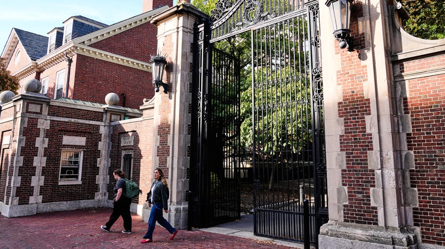 Larry Summers’s Epstein ties drag Harvard back into the spotlight