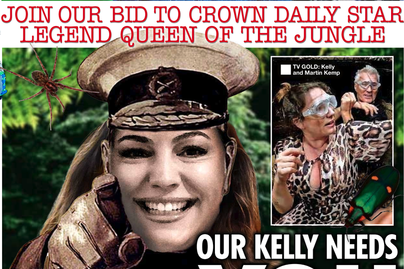 Kelly Brook's husband backs Daily Star campaign to help her to win I'm ...