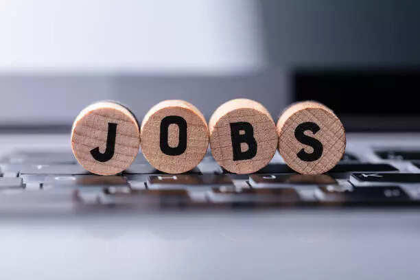 5 government jobs to apply for in this week: Check eligibility ...