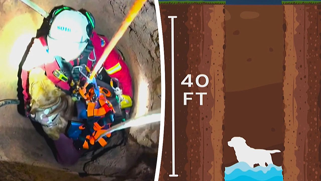Fire crews rescue blind elderly dog who fell down 40ft well in Georgia