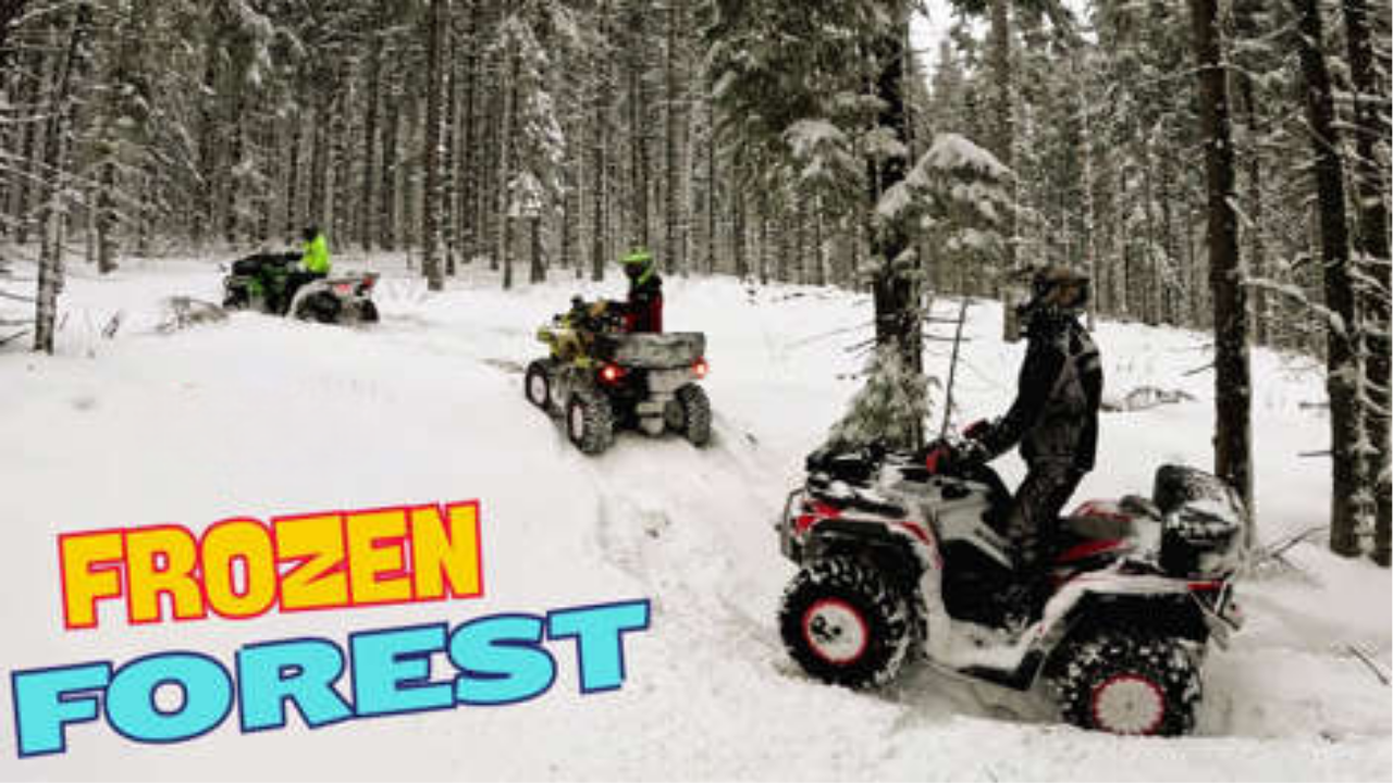 Surviving Deep Snow Winter Off Road Forest Adventure