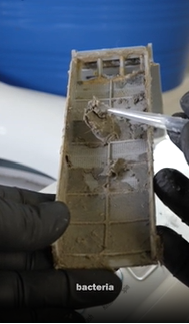 Is Your Washing Machine Secretly Making You Sick?