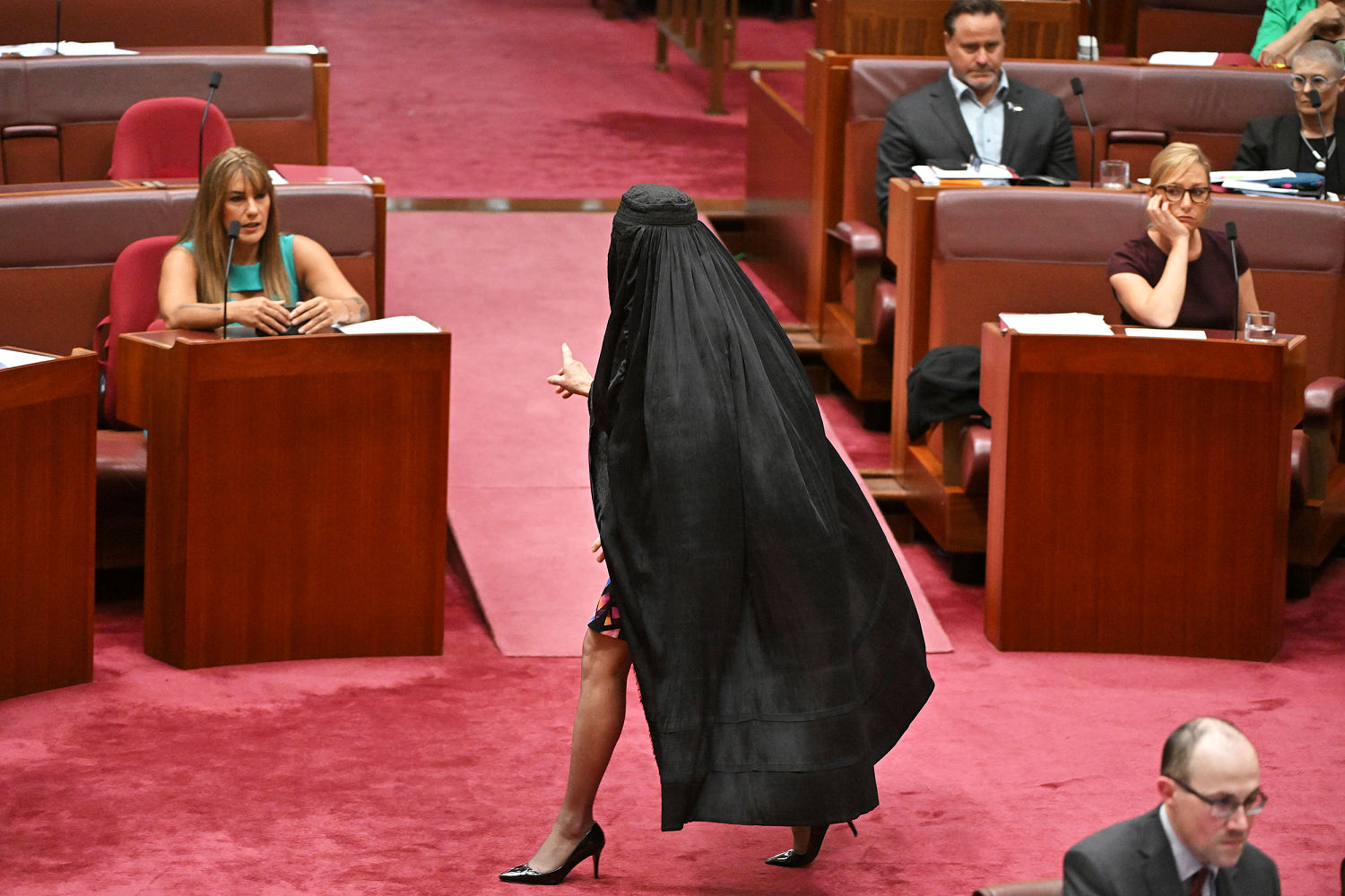 Australian Senate erupts in anger after far-right lawmaker arrives ...